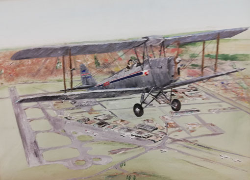 Tiger Moth painting